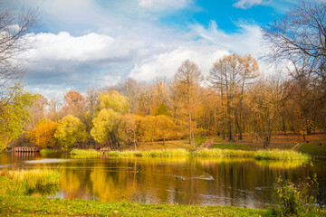 Fototapeta na wymiar Autumn sunny day with blue sky in the park Botanical garden, near a pond surrounded by autumn trees and yellow grass, Russia, Moscow.