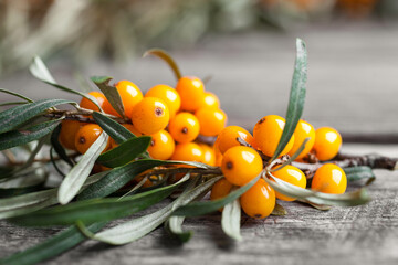 Branch of ripe sea buckthorn berries on a wooden table. Close-up