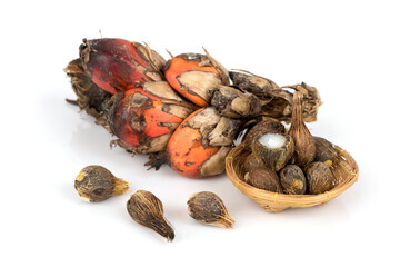 Palm fruits isolated on white background.