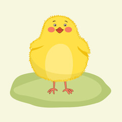 Little fluffy chicken. Vector illustration.