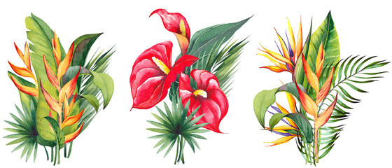 Tropical floral arrangements with red anthurium, strelitzia, heliconia and palm leaves. Watercolor illustration on white background. - 459871978