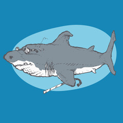 an old shark swimming with walking stick, cartoon style funny  illustration. background and figure are in different layers.