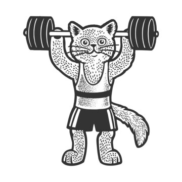 Cat weight lifter athlete sketch engraving vector illustration. T-shirt apparel print design. Scratch board imitation. Black and white hand drawn image.