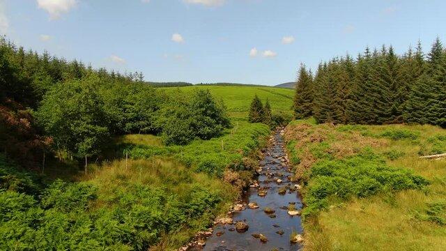 The River Dodder in the Wicklow mountains.