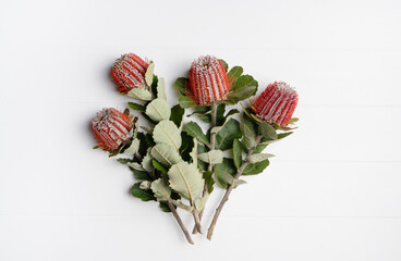 Floral flat-lay bouquet of Australian native Red Banksia Coccinea, on white background, photographed from above.