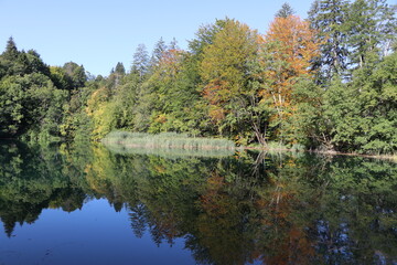Fototapeta na wymiar See Wasser Ufer Herbst