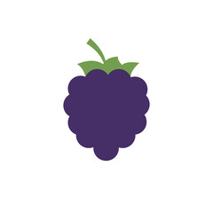 Raspberry vector icon. berry illustration.