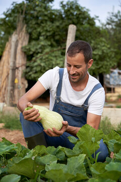 Smiling male farmer holding squash while crouching at agricultural field