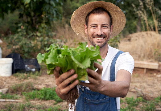 Happy male farm worker in hat offering fresh green lettuce