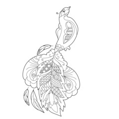 Cute peacock. Doodle style, black and white background. Funny bird, coloring book pages. Hand drawn illustration in zentangle style for children and adults, tattoo.
