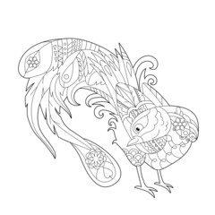 Cute peacock. Doodle style, black and white background. Funny bird, coloring book pages. Hand drawn illustration in zentangle style for children and adults, tattoo.