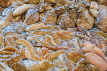 fresh fish market in southern Italy