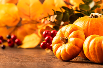 Thanksgiving Pumpkins Still Life On Rustic Wooden Background - Autumn Harvest Festival Concept...
