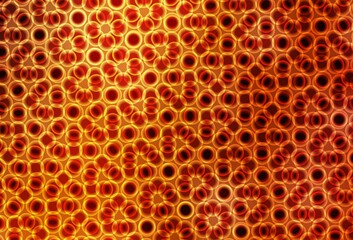 Light Orange vector background with bubbles.