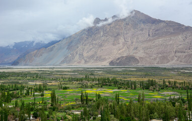 Fototapeta na wymiar Mountain scenery of Ladakh, Northern India