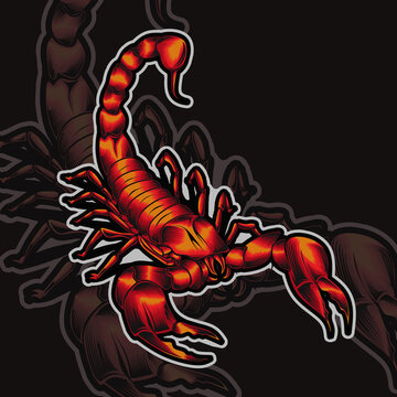 Scorpion mascot logo design vector with modern illustration concept style