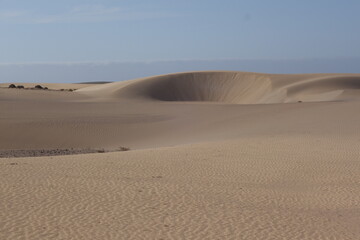 Beautiful sand patterns with  low sun in the natural park in Corralejo on the enchanting island of Fuerteventura in the Canary Islands Spain