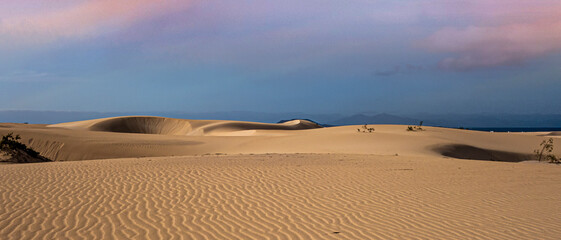 Beautiful sand patterns with  low sun in the natural park in Corralejo on the enchanting island of Fuerteventura in the Canary Islands Spain