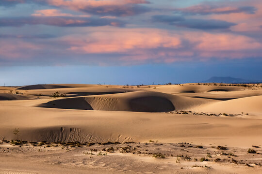 Beautiful sand patterns with low sun in the natural park in Corralejo on the enchanting island of Fuerteventura in the Canary Islands Spain © silvershadows