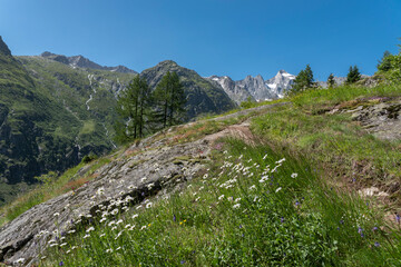 Local view near Bellwald with the Wannenhorn in background