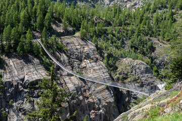 Aspi-Titter suspension bridge between Bellwald and Fieschertal - obrazy, fototapety, plakaty