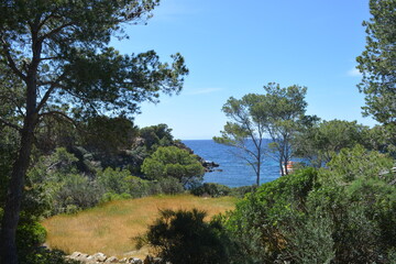 Fototapeta na wymiar Die Landschaft von der Dracheninsel, Mallorca
