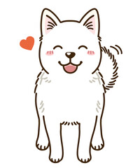 Obraz premium 懐く北海道犬（白）