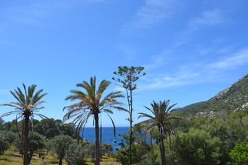 Die Landschaft von der Dracheninsel, Mallorca
