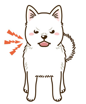 65 Best 北海道犬 Images Stock Photos Vectors Adobe Stock 65 Best 北海道犬 Images Stock Photos Vectors Adobe Stock