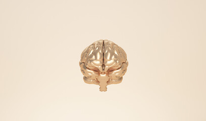 Minimal golden brain in front view on pastel background. Human brain Anatomical Model 3d illustration, thinking comic speech bubble. 3d rendering.
