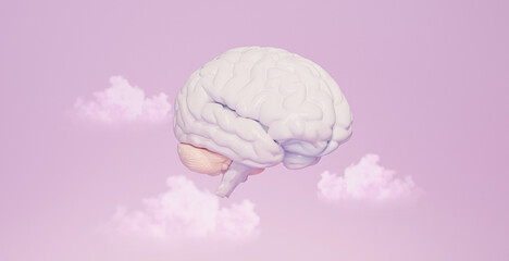 Minimal brain and clouds in on pastel background. Human brain Anatomical Model 3d illustration, thinking comic speech bubble. 3d rendering.
