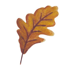 Autumn leaf watercolor. Autumn vector illustration.