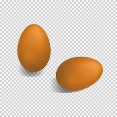 Brown realistic eggs.