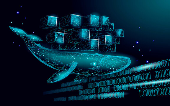 Whale and container computer docker developer app concept. Business digital open source program. Data coding steering 3D low polygonal vector line illustration