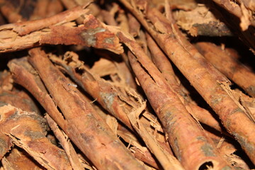 dry cinnamon