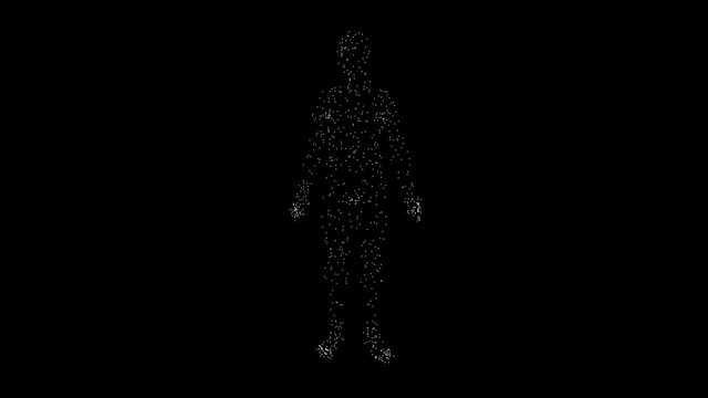 Low poly body animation of rotation from points and lines with changing link s for artificial intelligence medical and video editing. Futuristic digital concept with copy space loop 4k.