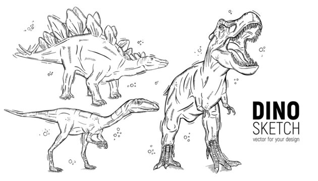 Dinosaur Drawing | The Gnomon Workshop