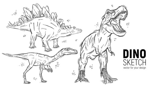 Set of hand-drawn dinosaur sketches.Stegosaurus, tyrannosaurus and deinonychus