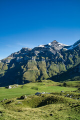 Fototapeta premium Panorama of swiss mountains in summer with blue sky