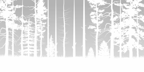 White tree forest background and snowing for winter season concept. Hand drawn isolated illustrations.