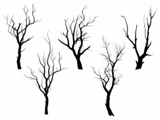 Set Black Branch Tree or Naked trees silhouettes. Hand drawn isolated illustrations, tree symbol style and white background. Can be used for your work.