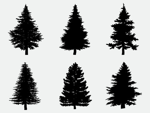 Collection Silhouettes of Christmas trees Symbol style and white background. Vector image for web design. Can be used for your work.