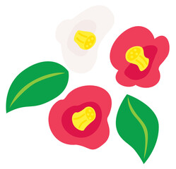 赤と白の椿のイラスト