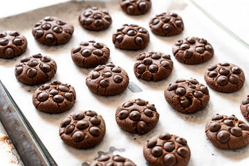 Hot dark chocolate chips cookies on baking tray. Vegetarian Fresh chocolate cookies. Eggless Baked chocolate cookies on baking paper.  