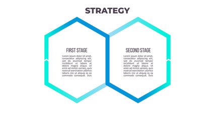 Business process. Chart with 2 steps, options, sections. Vector template.