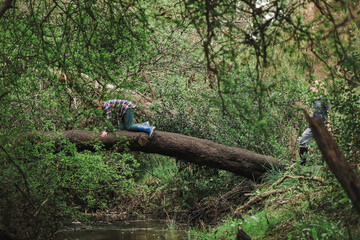 Kids climbing across log bridge over tranquil creek in the Australian bush