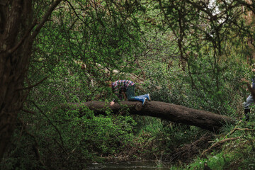 Kids climbing across log bridge over tranquil creek in the Australian bush