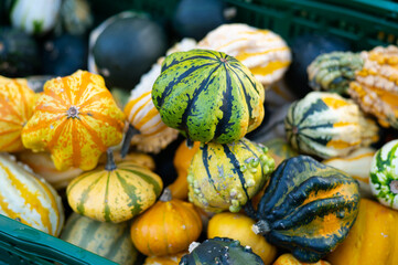pumpkin for halloween, halloween decoration