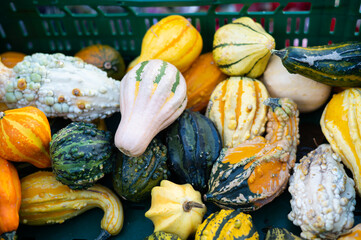 pumpkin for halloween, halloween decoration