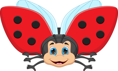 cute cartoon ladybug on white background